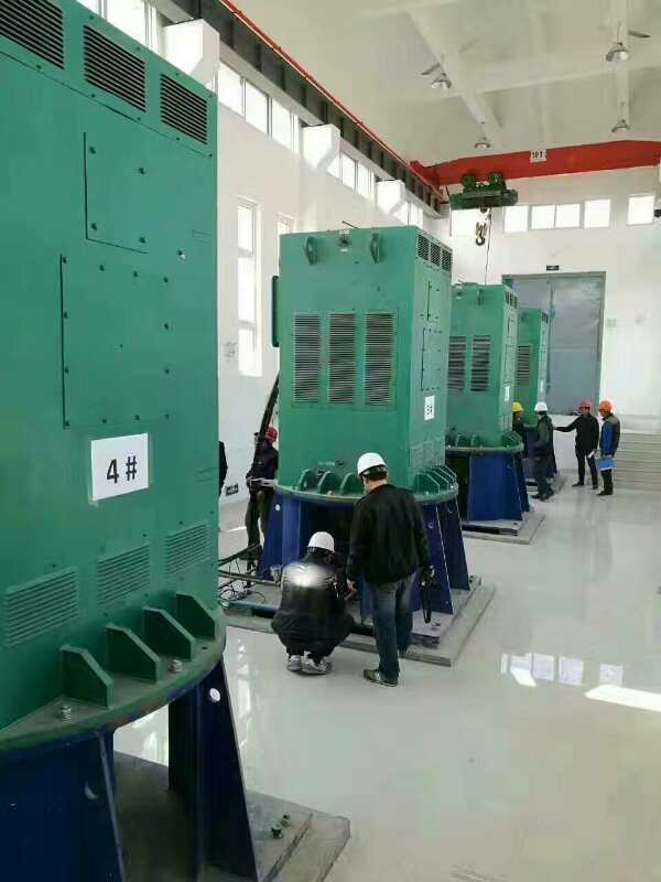 平昌某污水处理厂使用我厂的立式高压电机安装现场