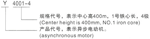 西安泰富西玛Y系列(H355-1000)高压平昌三相异步电机型号说明